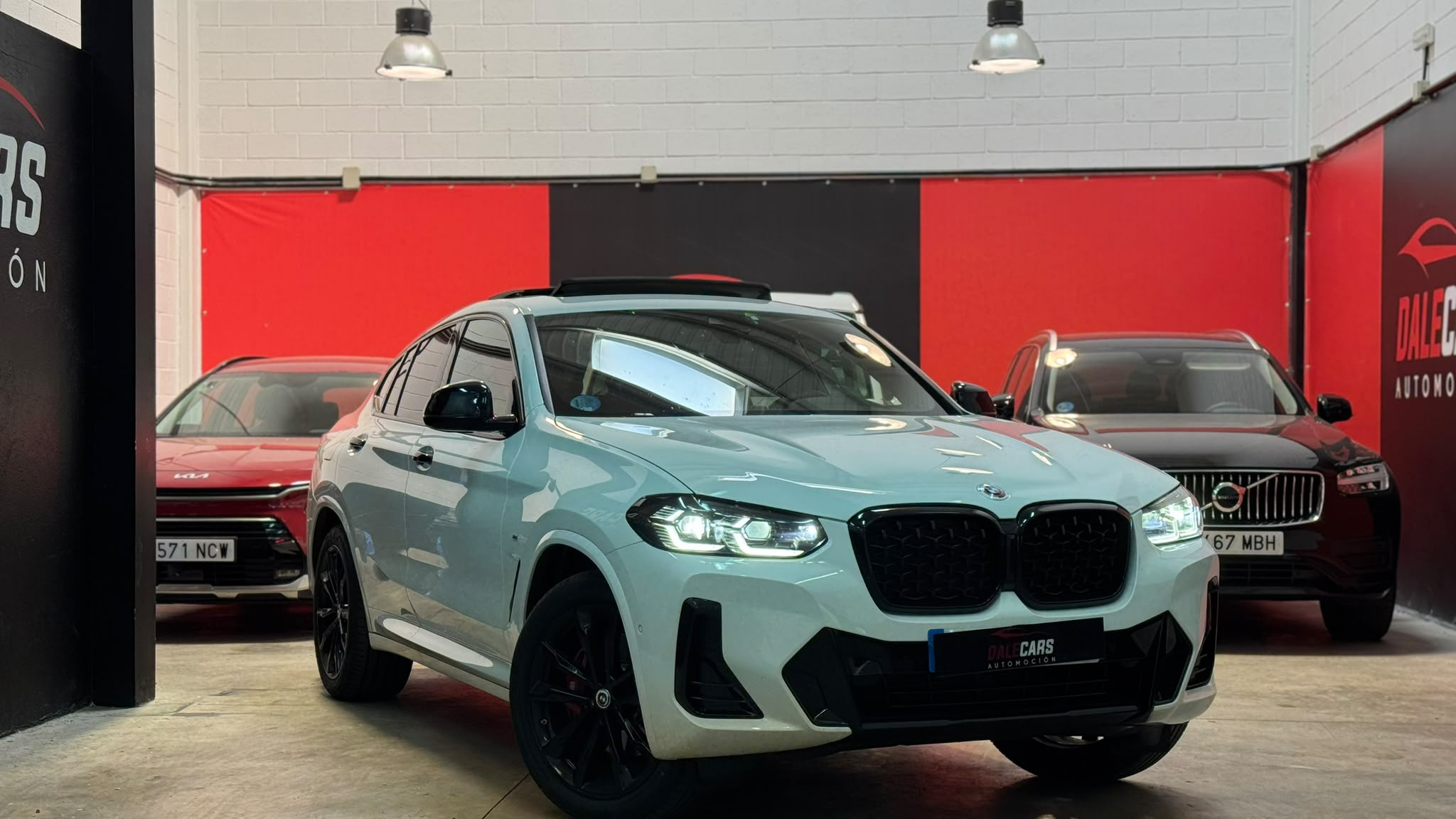 BMW X4 xDrive20d xLine