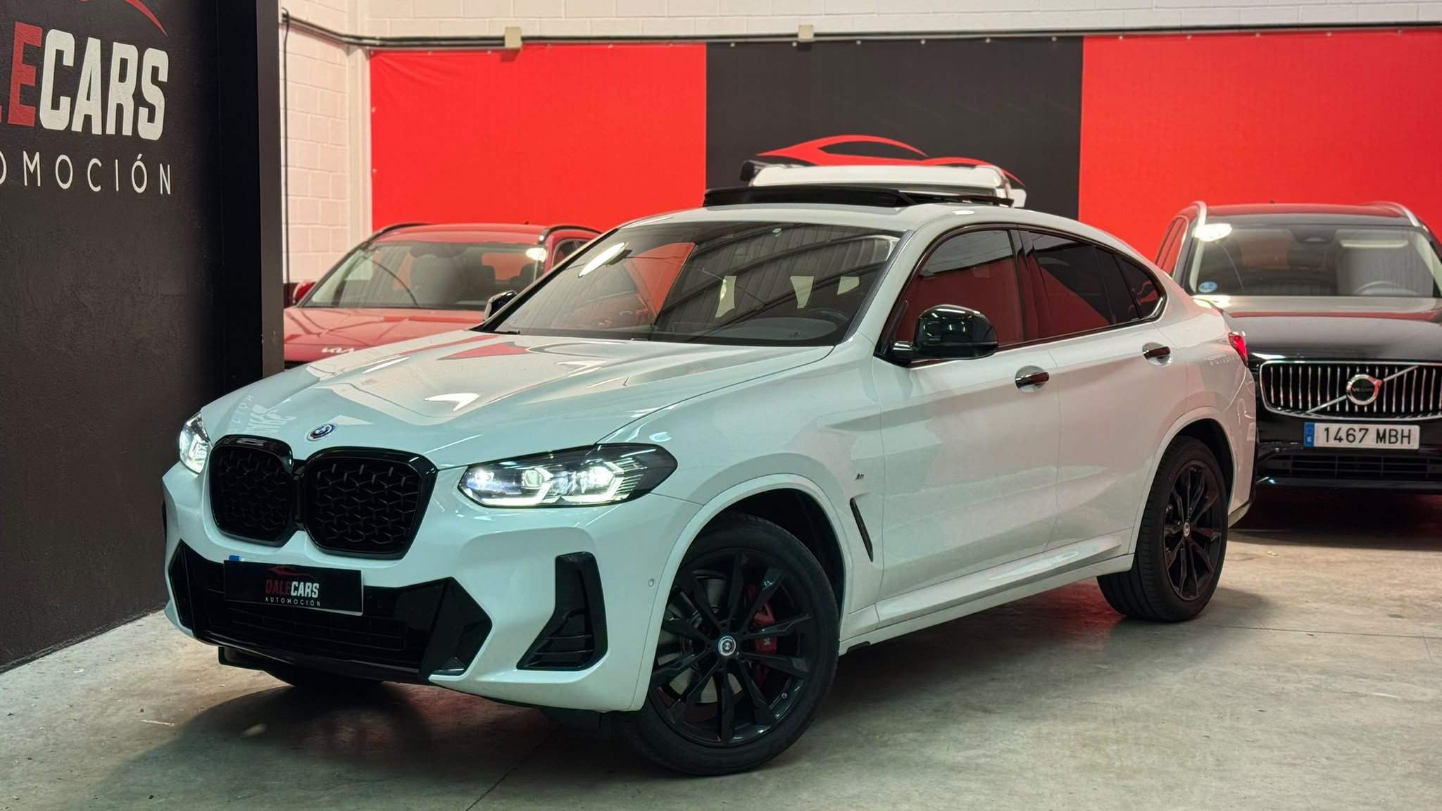 BMW X4 xDrive20d xLine